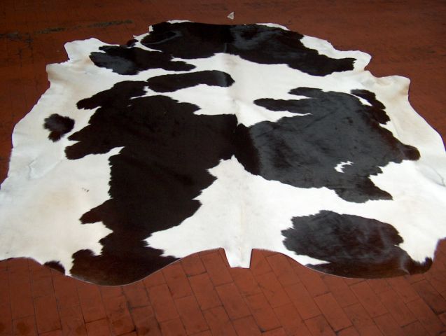 black_white_cow.jpg